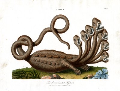 The Seven-headed Hydra by John Chapman