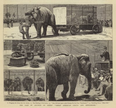 The Sale by Auction of Myers