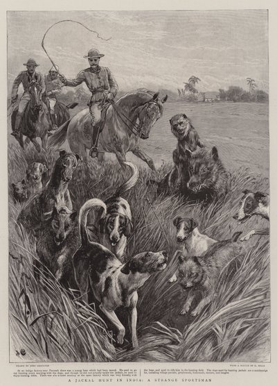 A Jackal Hunt in India, a Strange Sportsman by John Charlton
