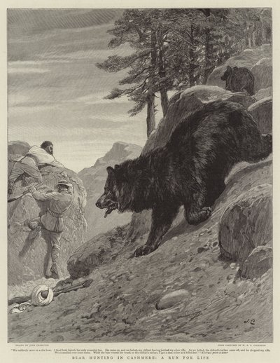 Bear Hunting in Cashmere, a Run for Life by John Charlton