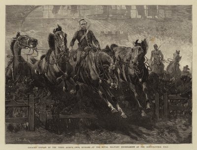 Cavalry Display by the Third (King