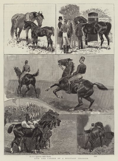 Life and Career of a Military Charger by John Charlton