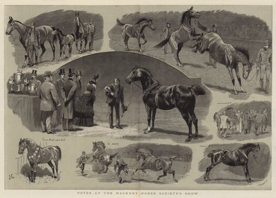 Notes at the Hackney Horse Society