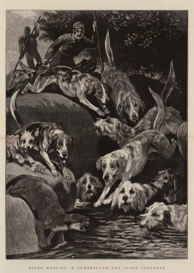 Otter Hunting in Cumberland, the Otter cornered by John Charlton
