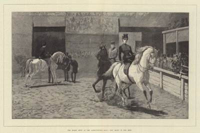 The Horse Show at the Agricultural Hall, the Arabs in the Ring by John Charlton