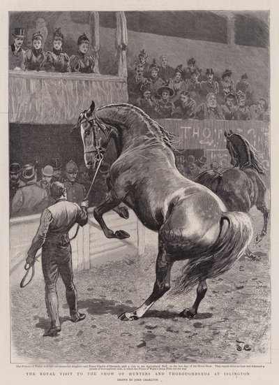 The Royal Visit to the Show of Hunters and Thoroughbreds at Islington by John Charlton