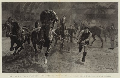 The Show of the Hackney Stud-Book Society at the Agricultural Hall, Pace and Action by John Charlton