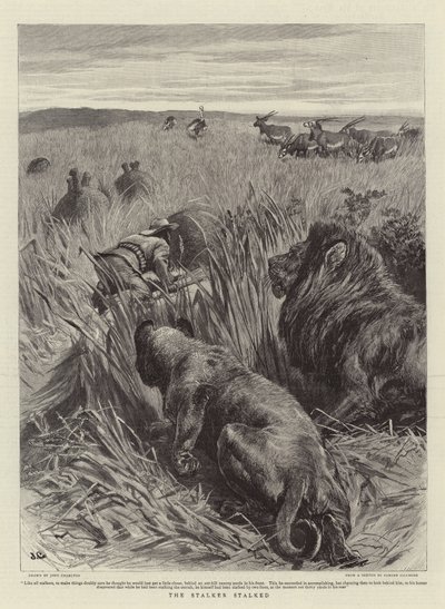 The Stalker Stalked by John Charlton