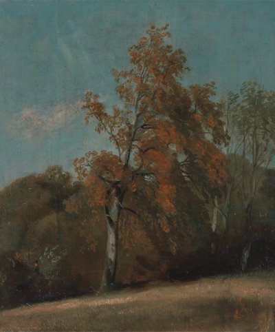 Study of an Ash Tree by John Constable