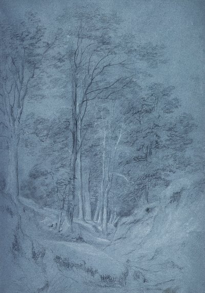 Study of ash and other trees by John Constable