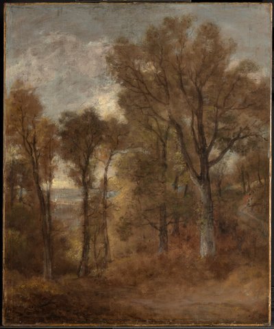 Woodland Scene Overlooking Dedham Vale by John Constable