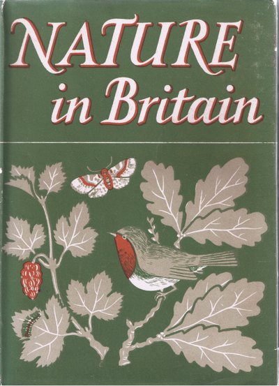 Study of Trees, Nature in Britain by John Crome