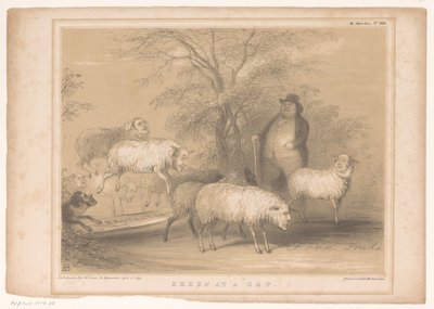Caricature with British Sheep (HB Sketches) by John Doyle