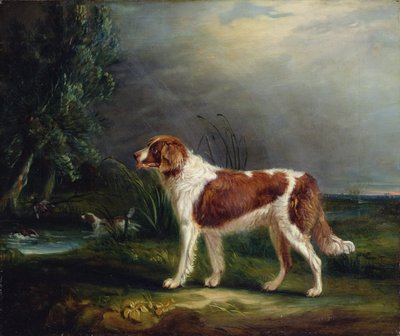 Two Spaniels by a Stream, one putting up Mallard by John E. Ferneley
