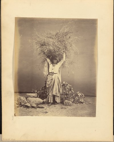 Indian Peasant Young Woman Holding Twigs on Her Head by John Edward Saché