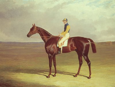 Mr. M. Stanleys Crutch on Newmarket Heath, 1833 by John Frederick Herring Senior