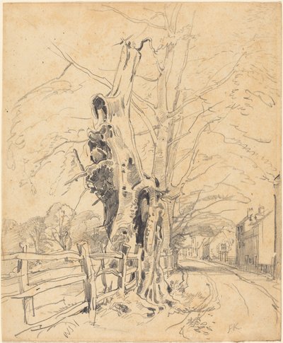 Trees by a Rail Fence by John Frederick Kensett