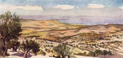 The Fields of Ruth and Boaz, near Bethlehem by John Fulleylove