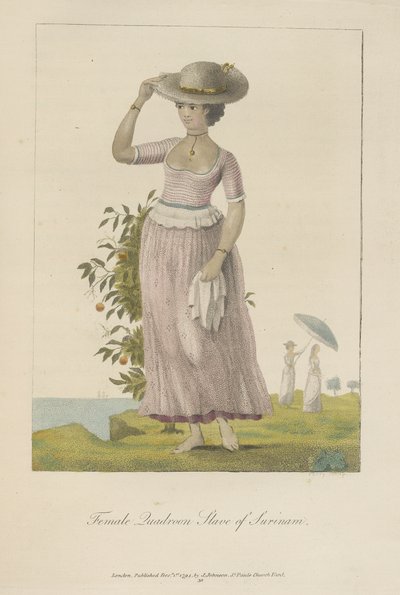 Female quadroon slave of Surinam by John Gabriel Stedman