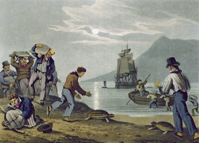 Turtle Catching on Land (engraved by Matthew Dubourg, published by Edward Orme, 1813) by John Heaviside Clark