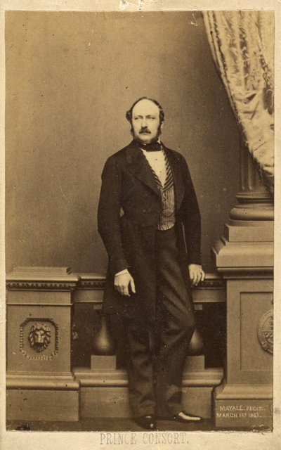 Prince Consort, Francis Charles Augustus Emmanuel Albert, Prince of Saxe-Coburg-Gotha by John Jabez Edwin Mayall