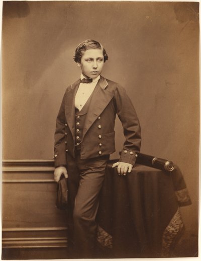 The Prince of Wales (Edward VII) by John Jabez Edwin Mayall