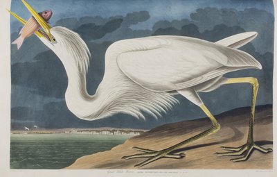 Illustration from 