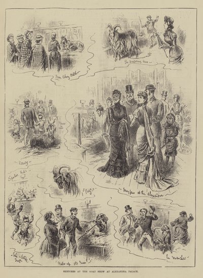 Sketches at the Goat Show at Alexandra Palace by John Jellicoe