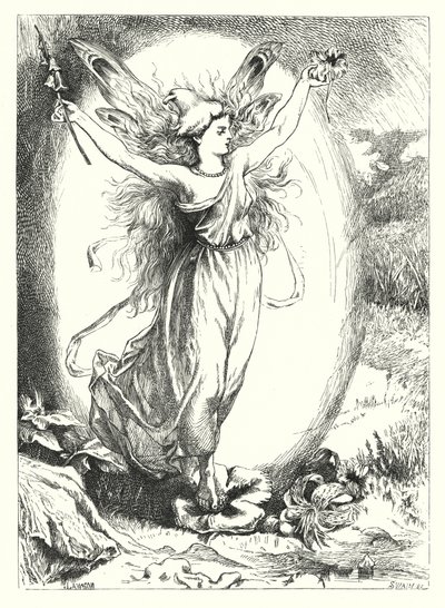 The Hidden Roses by John Lawson
