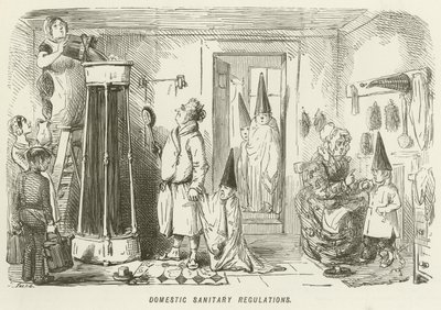 Domestic Sanitary Regulations by John Leech
