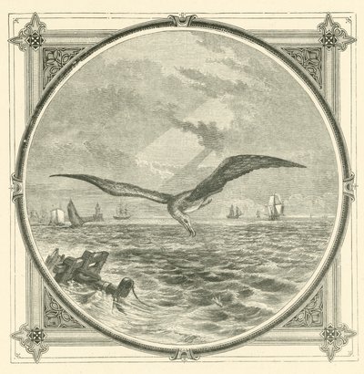 If poor, act cautiously by John Leighton
