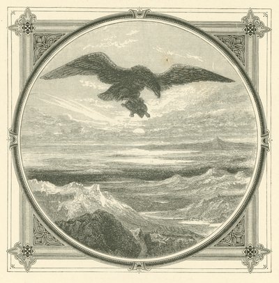 The higher the rise the greater the fall by John Leighton