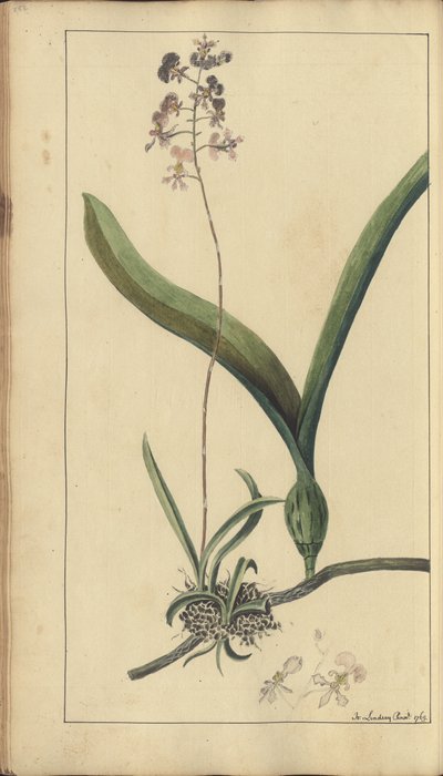 A page from the 