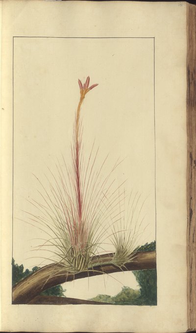 A page from the 