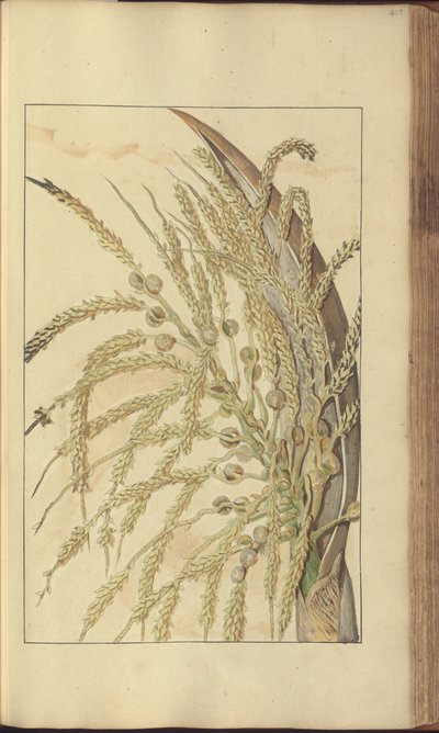 A page from the 