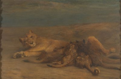 A lioness with four nursing cubs by John Macallan Swan