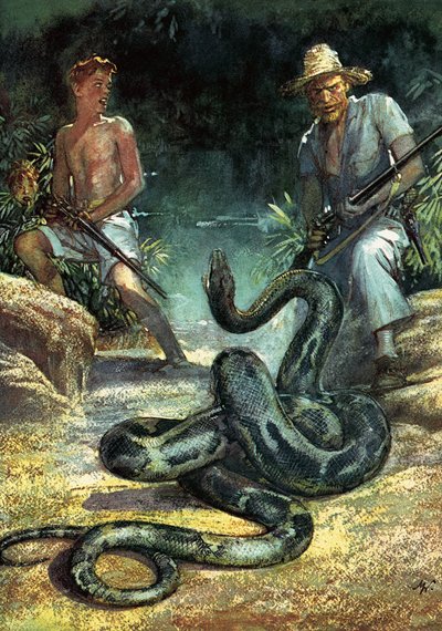 Swiss Family Robinson by John Millar Watt