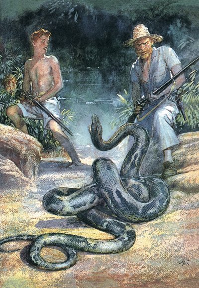 Swiss Family Robinson by John Millar Watt