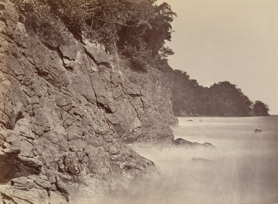 Tropical Scenery, Cliff - Limon Bay, 1871 by John Moran