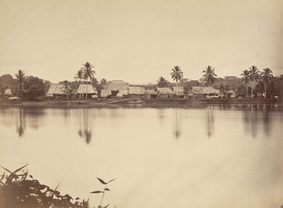 Tropical Scenery, Santa Maria del Real, Darien by John Moran