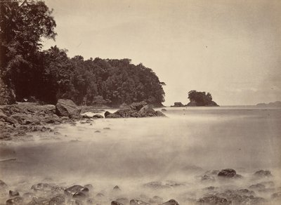 Tropical Scenery, View of Limon Bay, 1871 by John Moran
