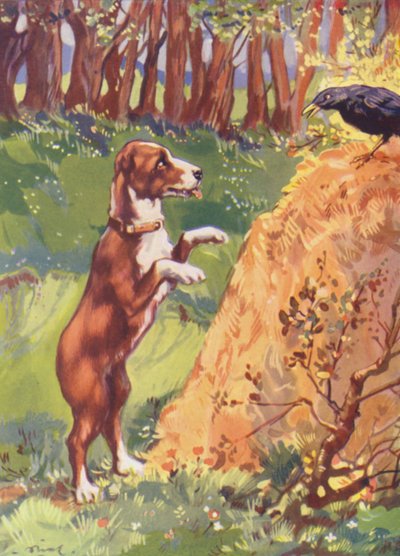 Illustration for Beautiful Joe by Marshall Saunders by John Nicholson