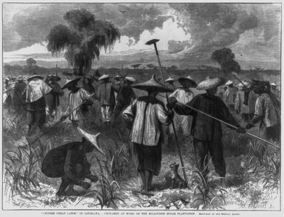 Chinese cheap labor in Louisiana - Chinamen at work on the Milloudon Sugar Plantation by John Parker Davis