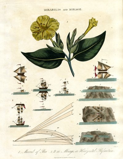 Mirabilis and Mirage by John Pass