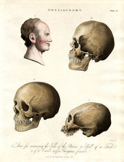 Physiognomy – Skulls of Different Ethnicities by John Pass