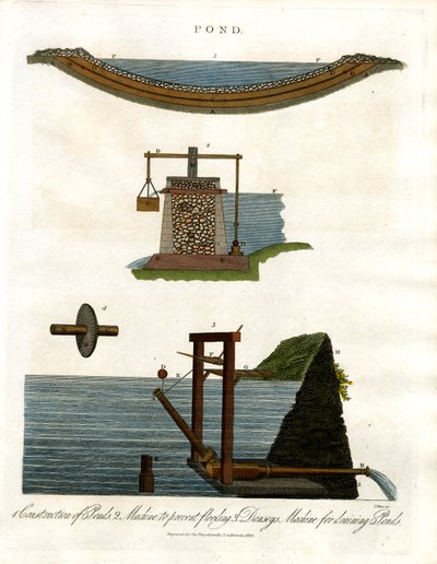 Pond: Cross-sections and Irrigation Mechanisms by John Pass