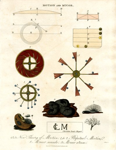 Theory of Motion and Mucor Fungi by John Pass