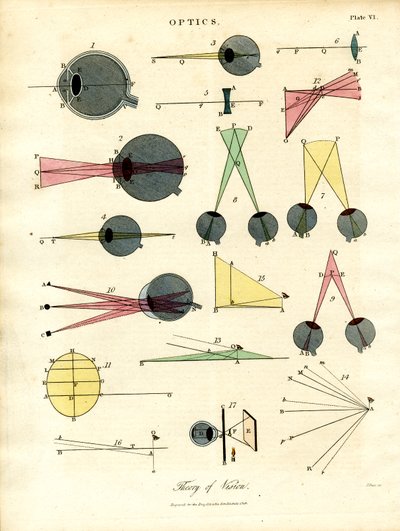 Theory of Vision by John Pass
