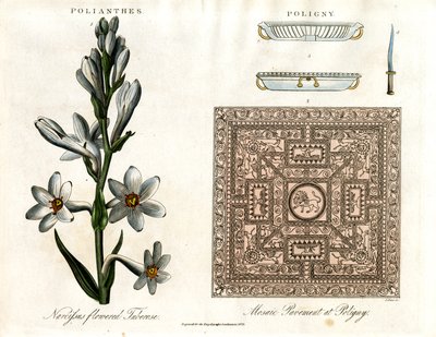 Tuberose and Roman Mosaic by John Pass