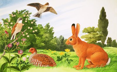 In the Corner of a Field by John Rignall